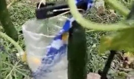 微山吃瓜最新事件爆料视频,最新爆料视频揭露惊人内幕