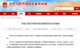 魏县最新爆料消息视频,视频揭秘惊人真相！