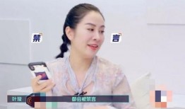 叶璇最新爆料何洁是谁,何洁身份之谜