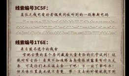 ss9最新爆料,揭秘神秘事件背后的惊人真相