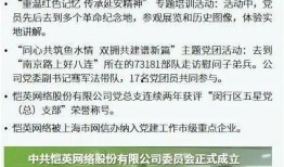聊城负面新闻爆料事件最新,揭开背后真相，探寻事件真相与影响