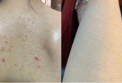 吃鸡皮肤爆料最新多少钱,最新价格揭晓，玩家热议不已！