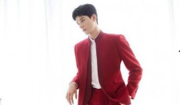 龚俊热巴最新爆料消息,甜蜜互动引粉丝热议，幕后故事揭秘！”