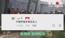 河南爆料事件最新消息,真相逐步浮出水面