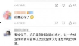 可甜最新爆料网站下载,网站下载背后的秘密与亮点